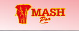 Mash POA Logo
